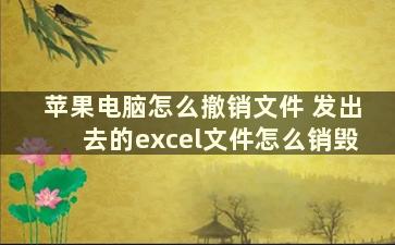 苹果电脑怎么撤销文件 发出去的excel文件怎么销毁